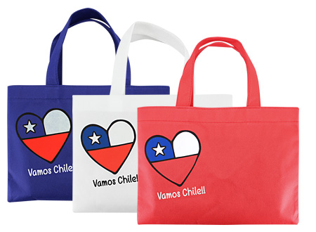 Bolsa TNT Vamos Chile